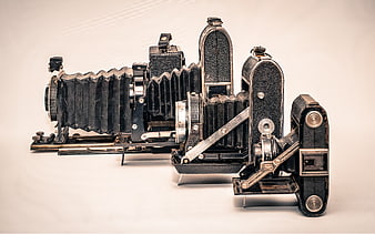 Vintage folding cameras on white background