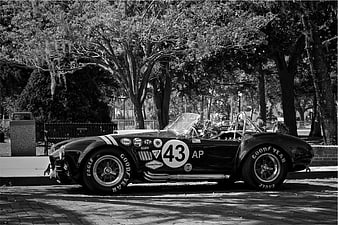 Vintage Shelby Cobra Race Car in Black and White