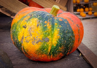 Colorful Heirloom Pumpkin on Wooden Crate
