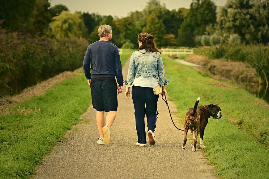 Couple Walking Dog On Gravel Path In Green Park