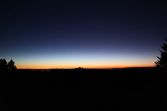 Silhouette of forest trees against a twilight sky with stars