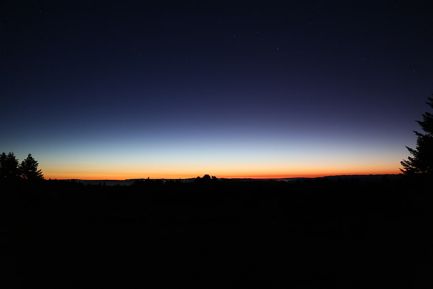 Silhouette of forest trees against a twilight sky with stars