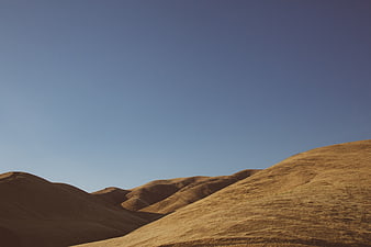 Golden rolling hills under a clear blue sky