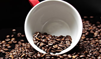 Roasted Coffee Beans in White Mug on Black Background