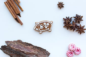 Gingerbread pig cookie with cinnamon and star anise on white