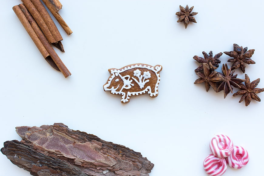 Gingerbread pig cookie with cinnamon and star anise on white