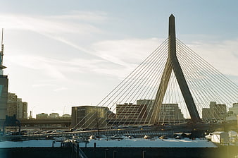 Modern Cable-Stayed Bridge in Winter Cityscape