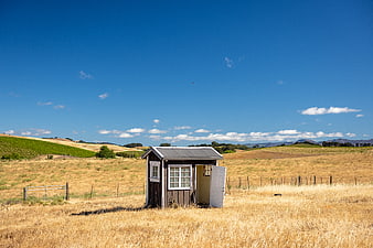 Small wooden shed in dry golden field with blue sky