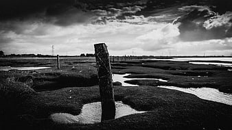 Dramatic Black and White Marsh Landscape with Wooden Post