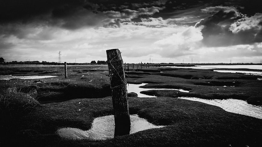 Dramatic Black and White Marsh Landscape with Wooden Post