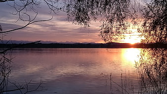 Serene Lake Sunset with Silhouetted Trees and Mountain Reflection