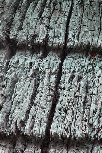 Close-up of weathered gray timber beam texture
