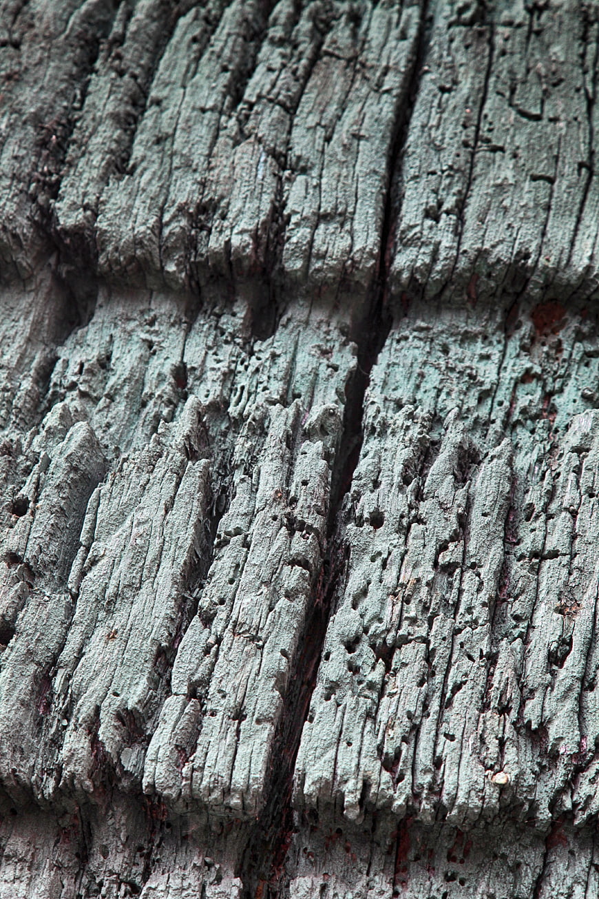 Close-up of weathered gray timber beam texture