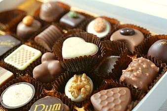 Assorted gourmet chocolates in a gift box