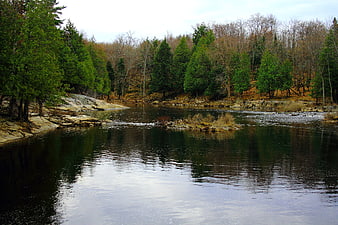 Serene River Flowing Through Forested Landscape with Rocks