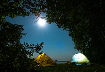 Camping Tents Under Bright Moonlight in Forest