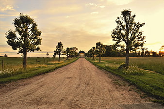 Dirt Road Leading to House at Golden Hour