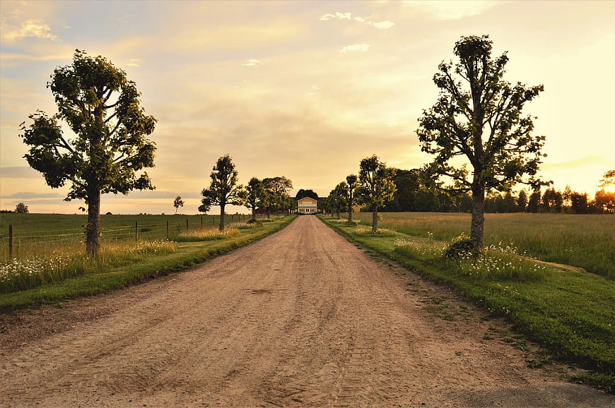 Dirt Road Leading to House at Golden Hour