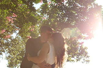 Romantic couple kissing under flowering tree in sunlight