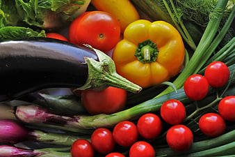 Fresh Organic Vegetables Including Eggplant, Tomatoes, and Bell Pepper