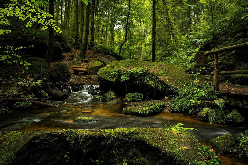 Serene Forest Stream with Mossy Rocks and Wooden Bridge
