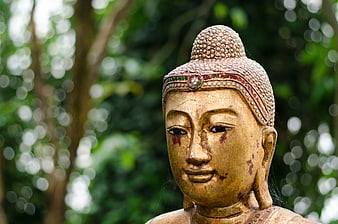 Close-up of Golden Buddha Statue in Lush Forest