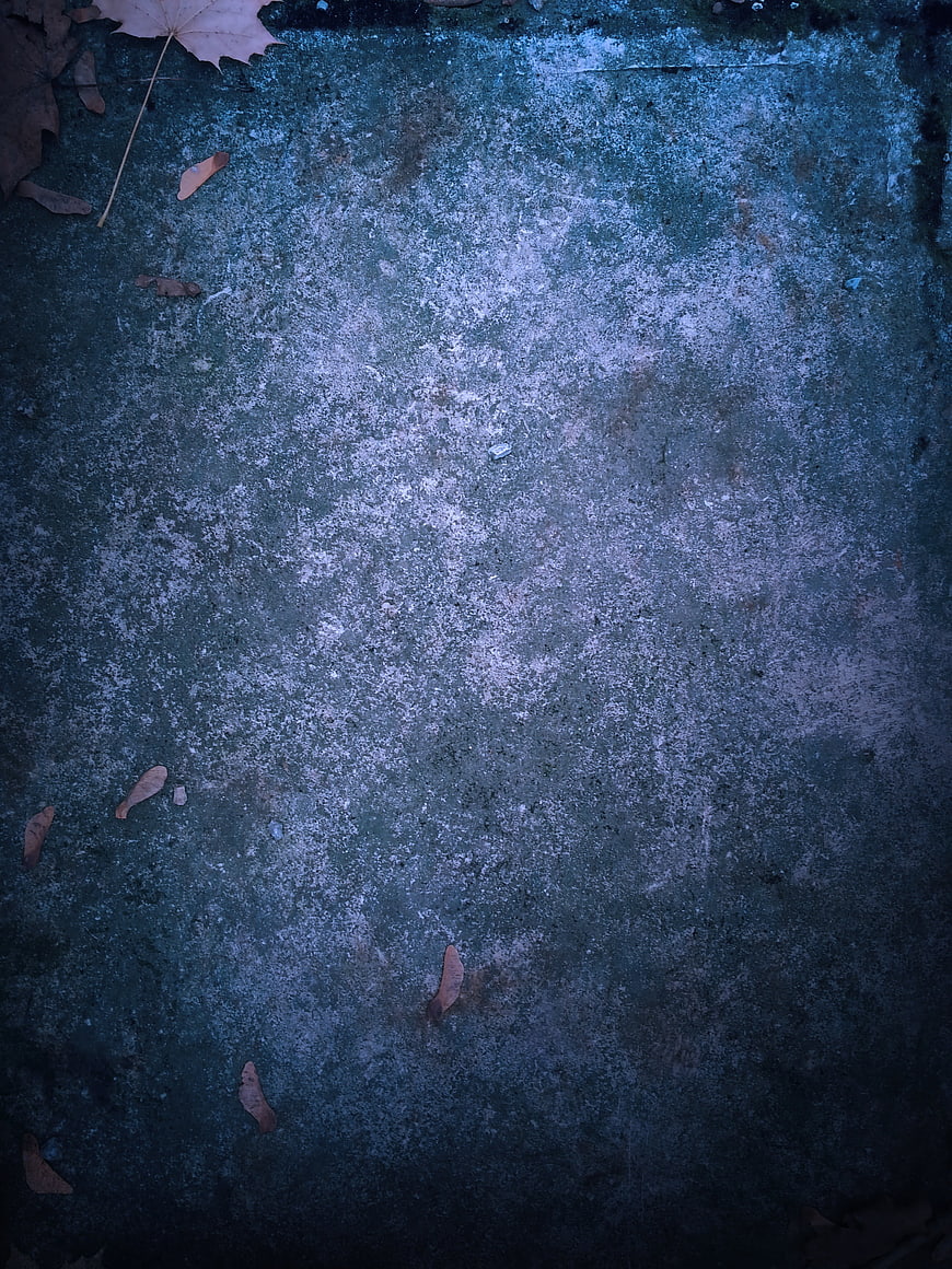 Dark Blue Textured Concrete Background with Autumn Leaves