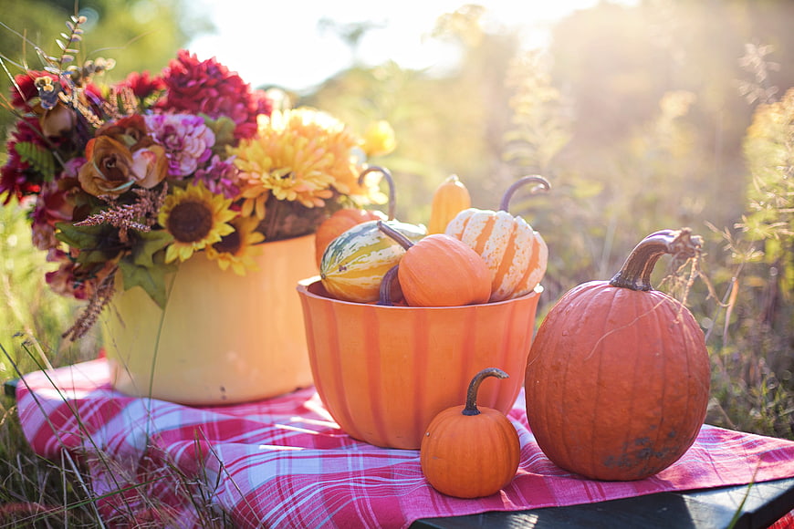 Rustic Autumn Harvest Still Life with Pumpkins and Flowers
