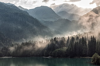 Misty Mountain Lake with Sun Rays and Pine Forest
