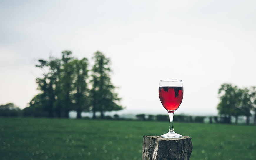 Glass of Red Wine on Wooden Stump in Green Field