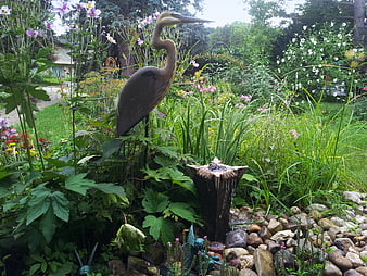 Garden bird statue and water fountain feature