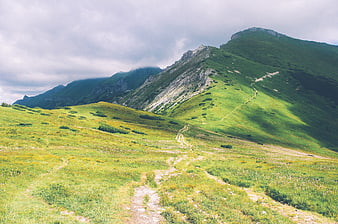 Winding hiking trail through lush green mountain meadows