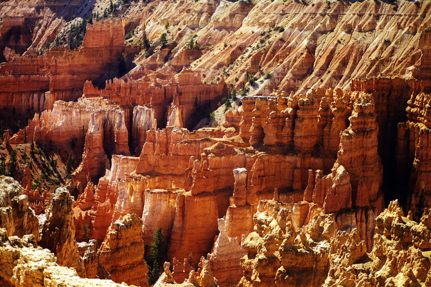 Bryce Canyon Hoodoos and Red Rock Formations