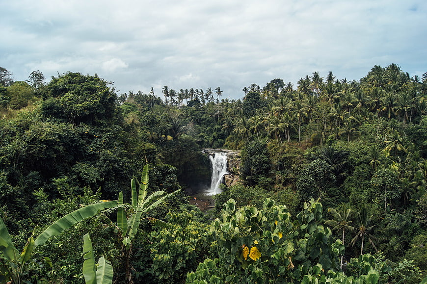 Tropical waterfall cascading through lush green jungle forest