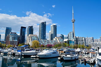 Toronto skyline with CN Tower and marina boats on a sunny day
