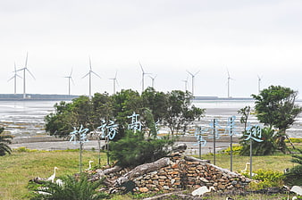 Gaomei Wetlands Wind Farm Landscape with Egret Sculptures