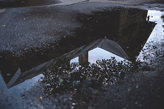 Moody Reflection of House and Trees in Rain Puddle