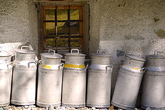 Vintage metal milk cans lined up against rustic wall