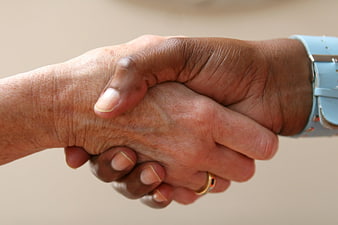 Close-up of diverse hands shaking in agreement