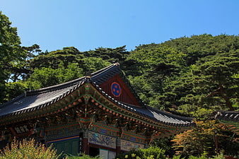 Traditional Korean Temple Roof with Intricate Painted Details