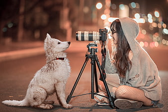 Woman photographer taking a picture of a white dog at night