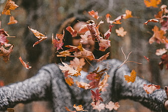 Woman throwing autumn leaves in the air in a forest