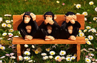Three Monkey Statues on Wooden Bench in Daisy Meadow