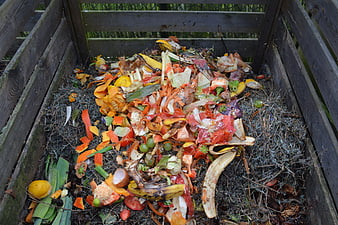 Wooden Compost Bin Filled With Vegetable Scraps And Organic Waste