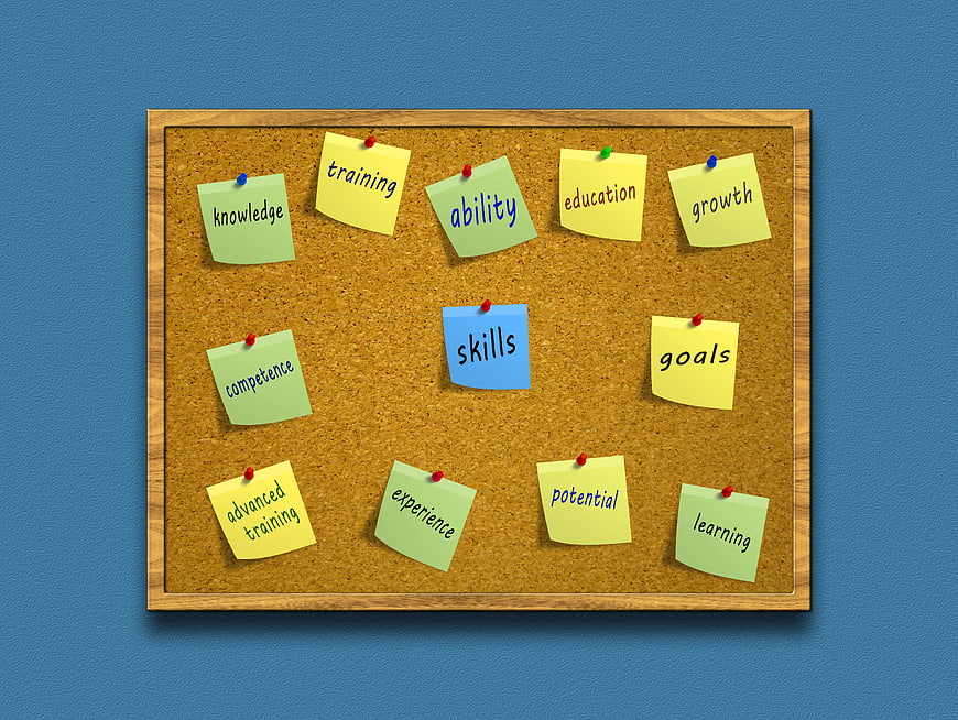 Corkboard with sticky notes on skills, training, and professional growth
