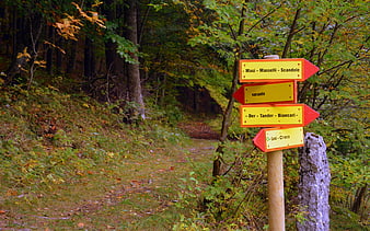 Wooden hiking trail signpost in autumn forest