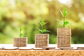 Growing stacks of coins with plants symbolizing financial growth