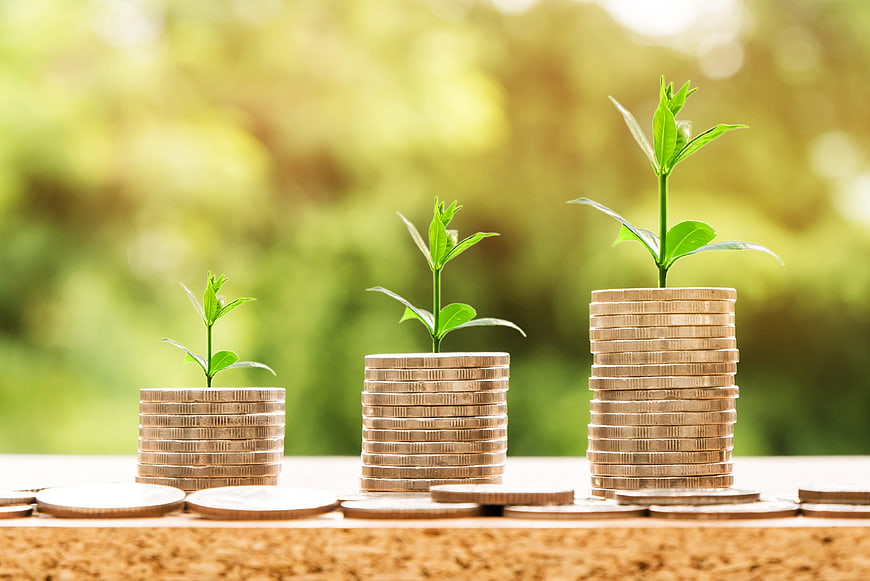 Growing stacks of coins with plants symbolizing financial growth