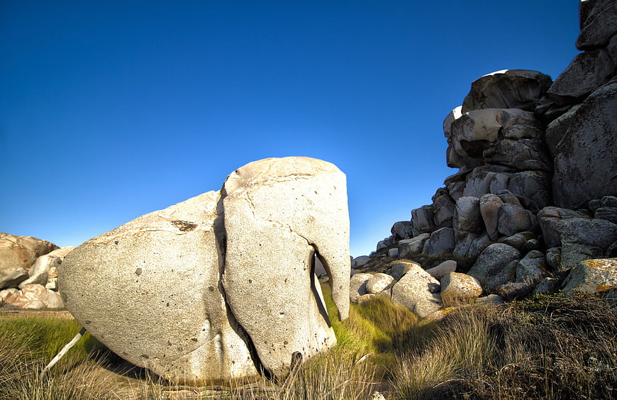 Large Elephant Rock Formation in Alpine Meadow