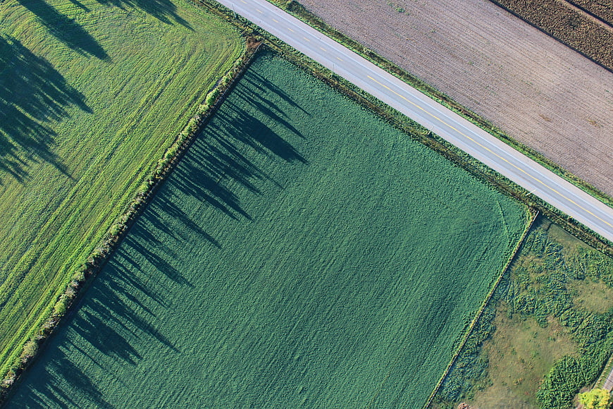 Aerial View of Green Farmland with Tree Shadows and Road